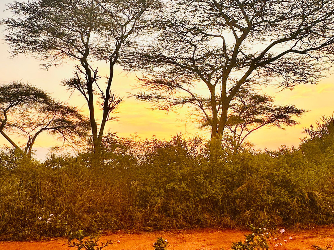 Liyu Ethiopia Tours-亚的斯亚贝巴必去景点