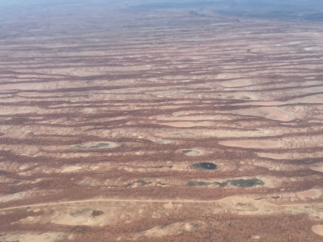 Gekko Safari - Outback Tours-Belair必去景点