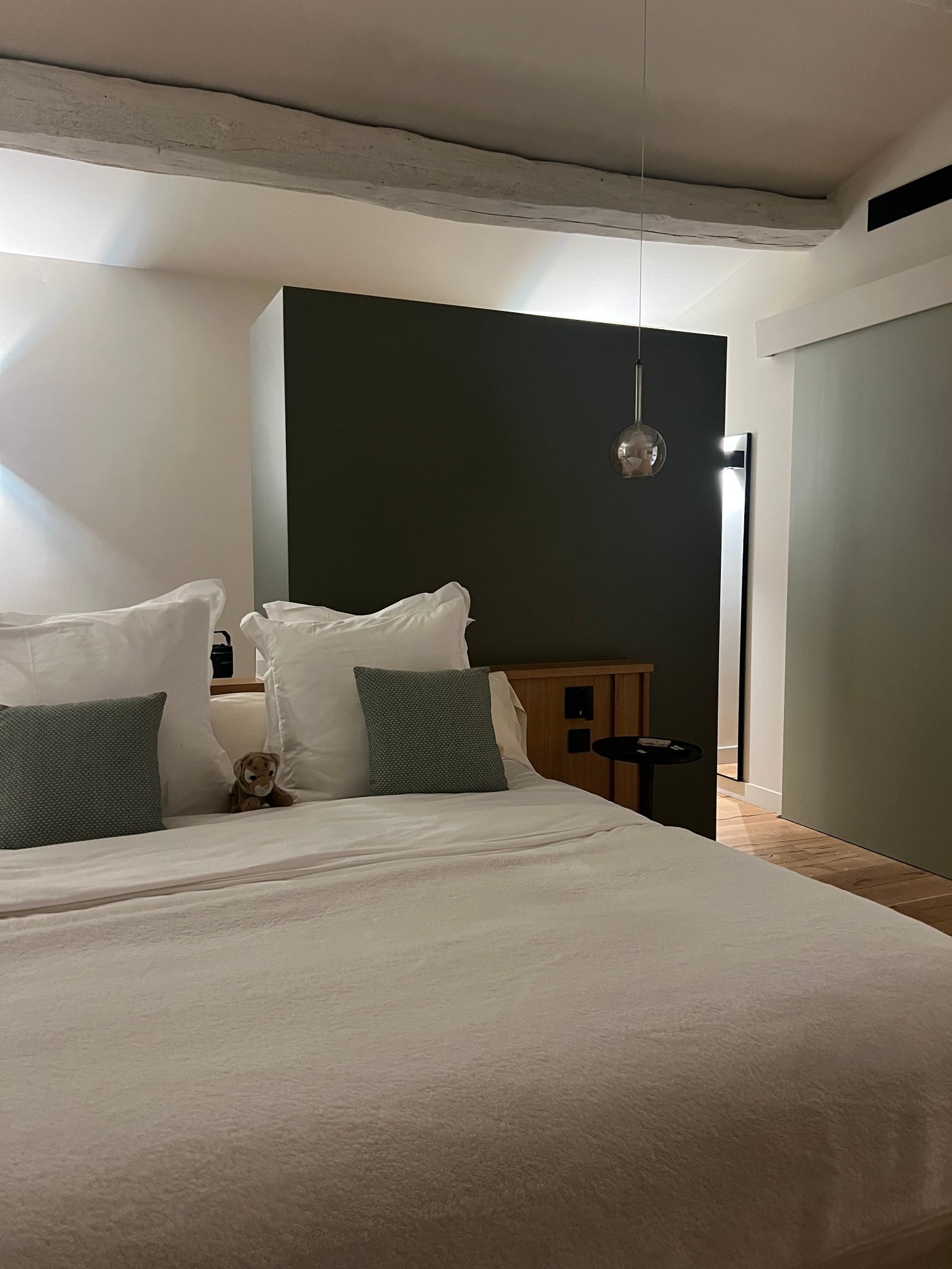 Domaine De Casanghjulina-客卧