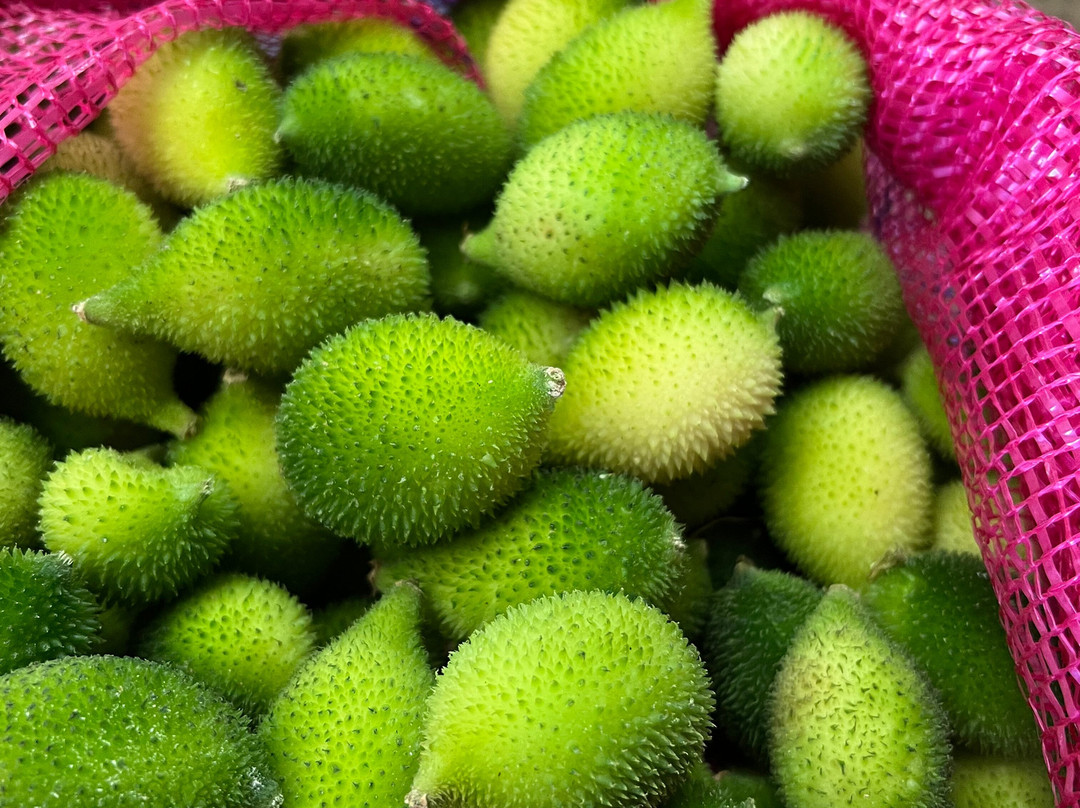 Drivers in Sri Lanka-科伦坡必去景点