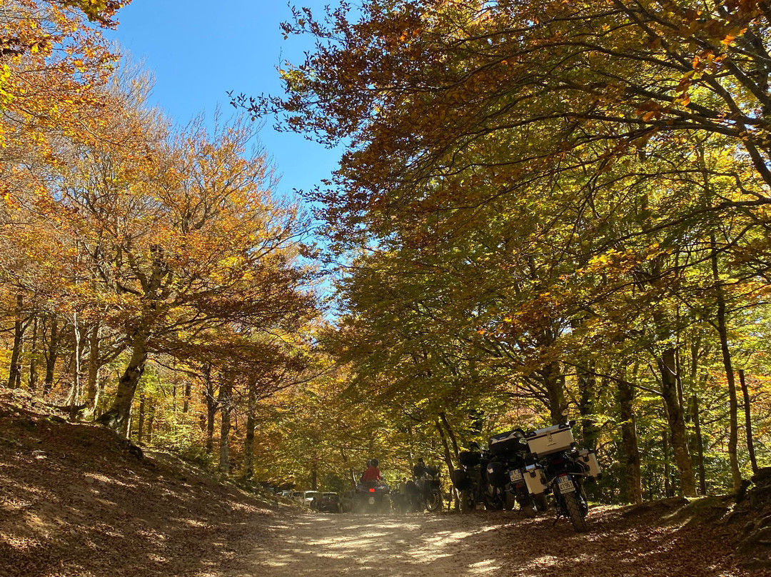 The Island of Wonders | Sicily and Etna Excursions-Randazzo必去景点