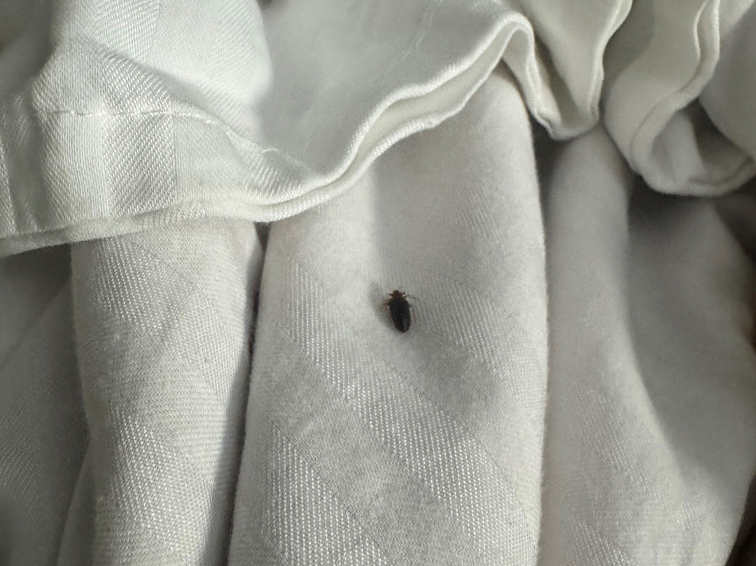 Best Western Maritime Inn主图