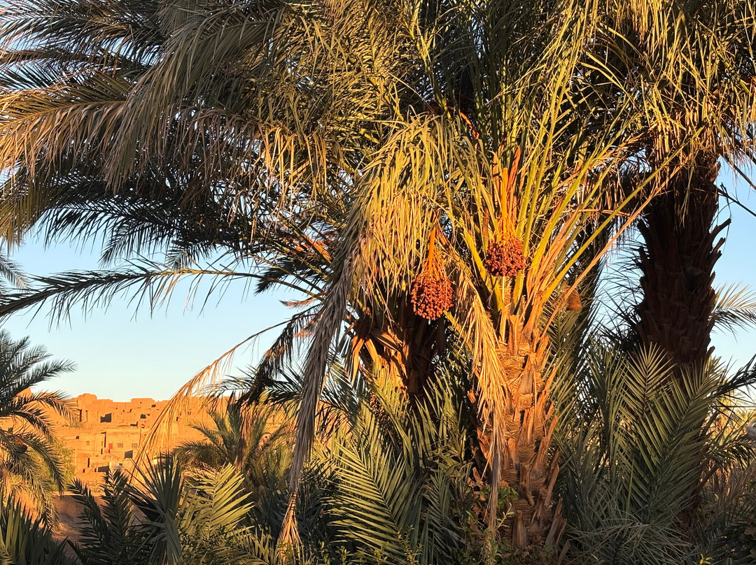 Mountain Desert Tours-马拉喀什必去景点