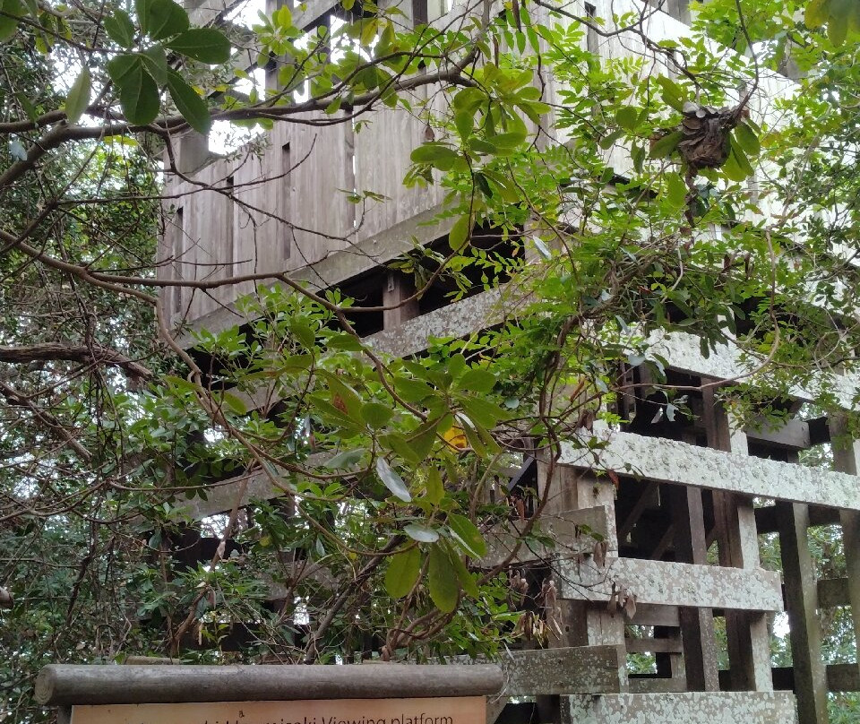 Morozaki Hazu Cape (Hazu Jinja Shrine)-南知多町必去景点