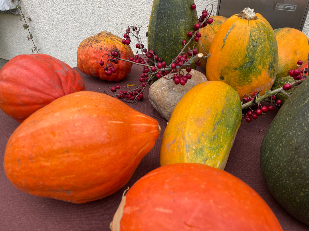 Landgasthof Lingenau主图