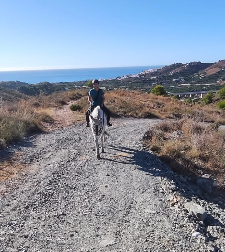 Andale Riding Nerja-内尔哈必去景点