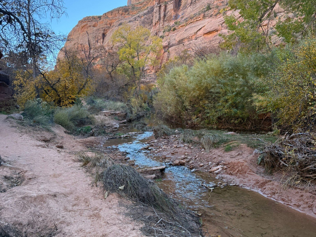 Grandstaff Canyon Trail-莫阿布必去景点