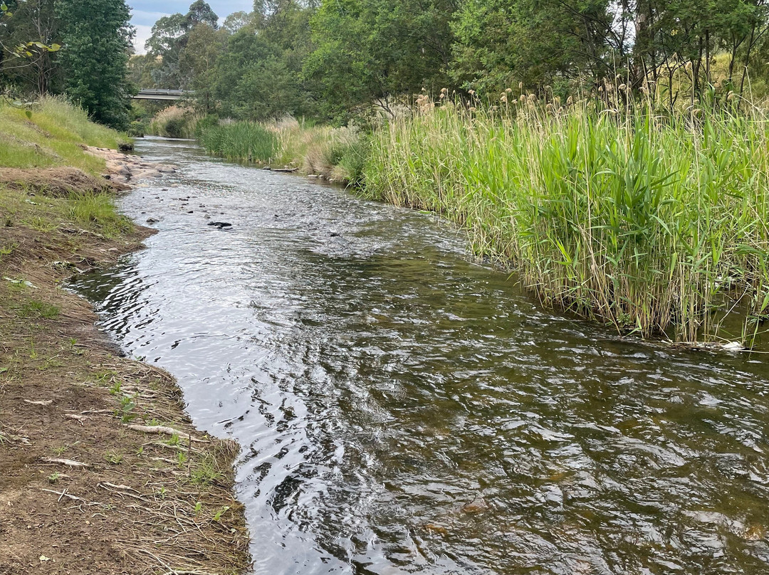 The Creek Playspace-Swifts Creek必去景点