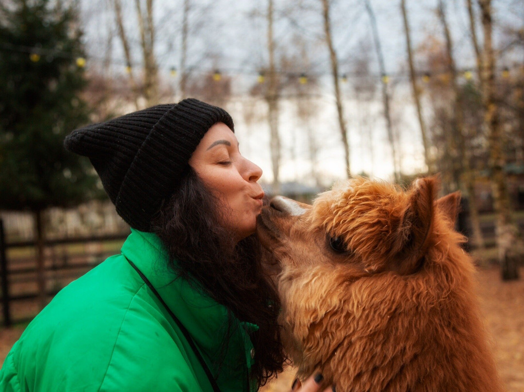 Pacha Mama Alpaca Park-Yasenevo必去景点