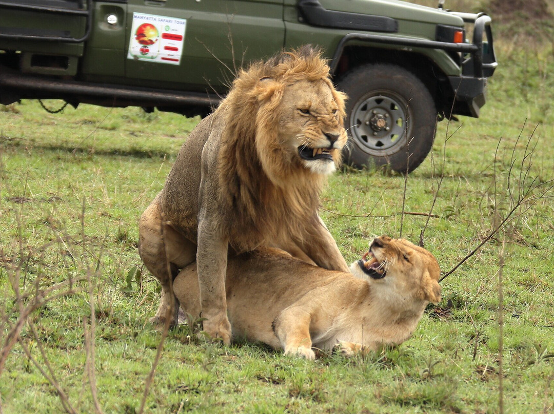 Mufasa Tours and Travels-内罗毕必去景点