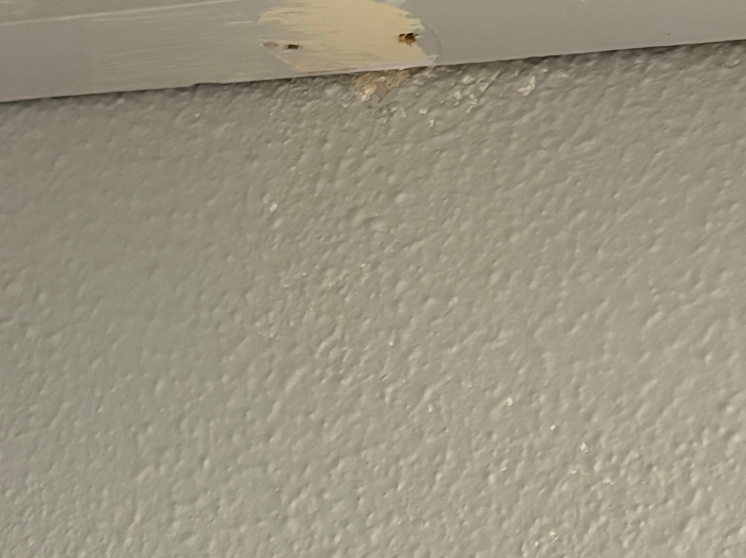 Travelodge York Hull Road主图