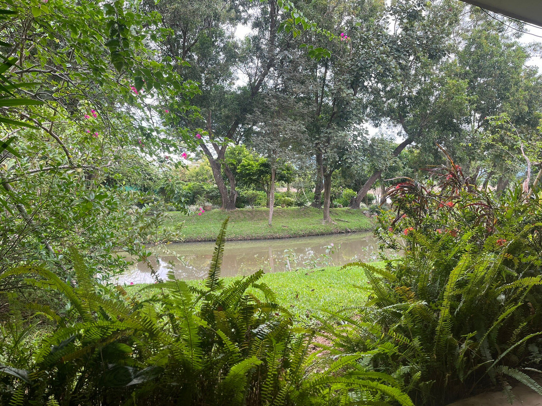 湄考河乡村度假村主图