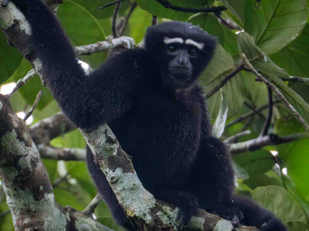 beentours-达卡市必去景点