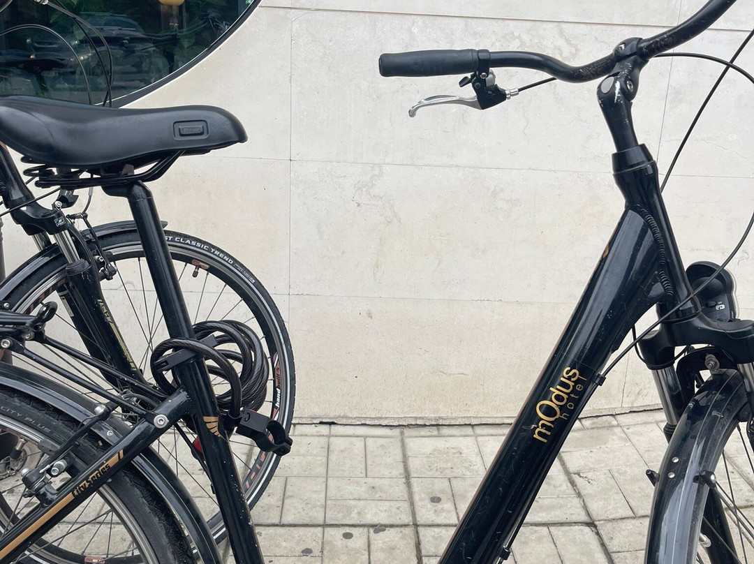 莫杜斯酒店主图