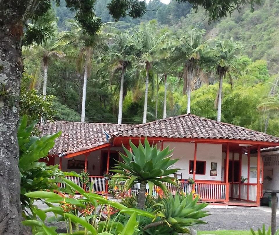 Hostal Rio Arabia主图