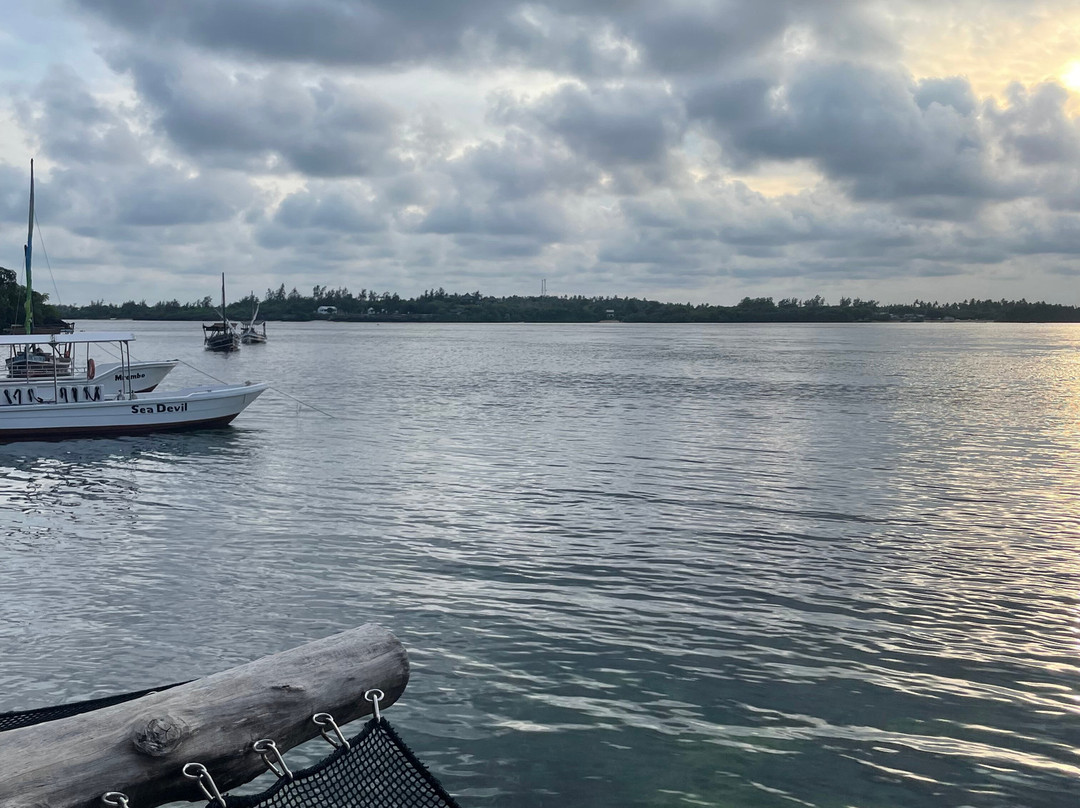 Safari In Kenya Con Samba-瓦塔木必去景点