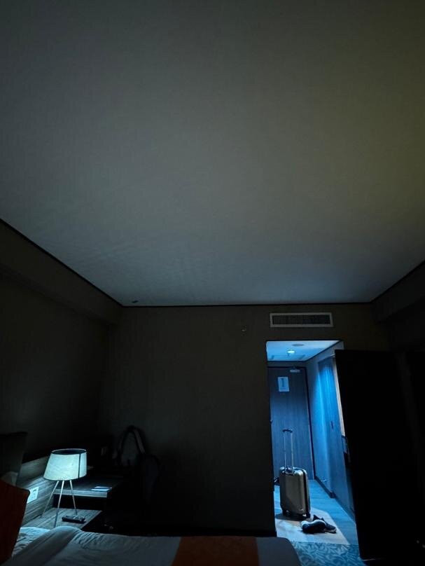 阿洛拉大酒店主图