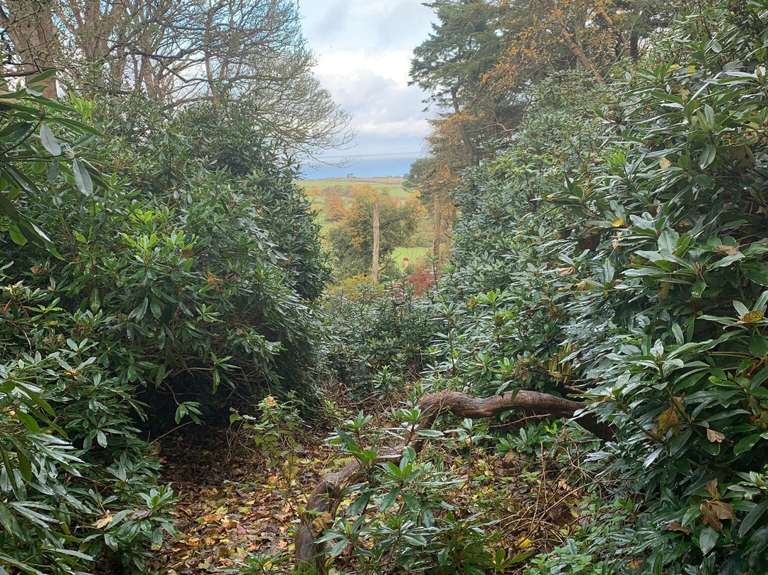 Sheringham Park-Sheringham必去景点