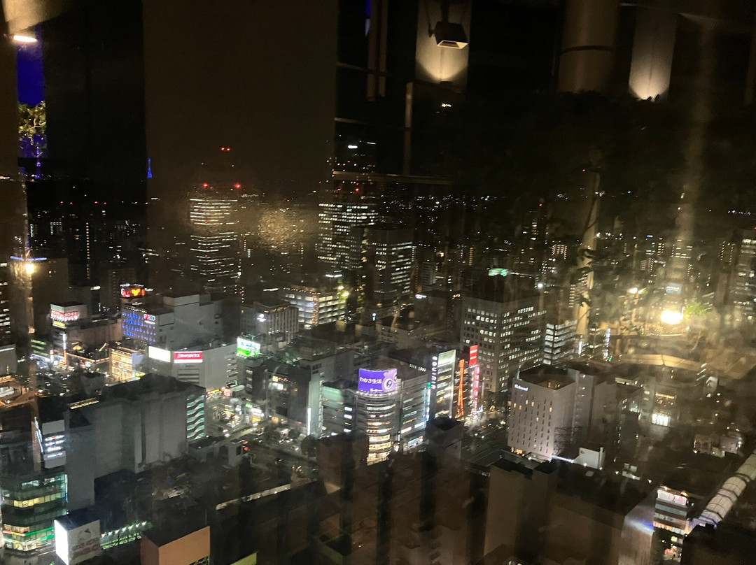 AER Lookout Terrace-仙台市必去景点