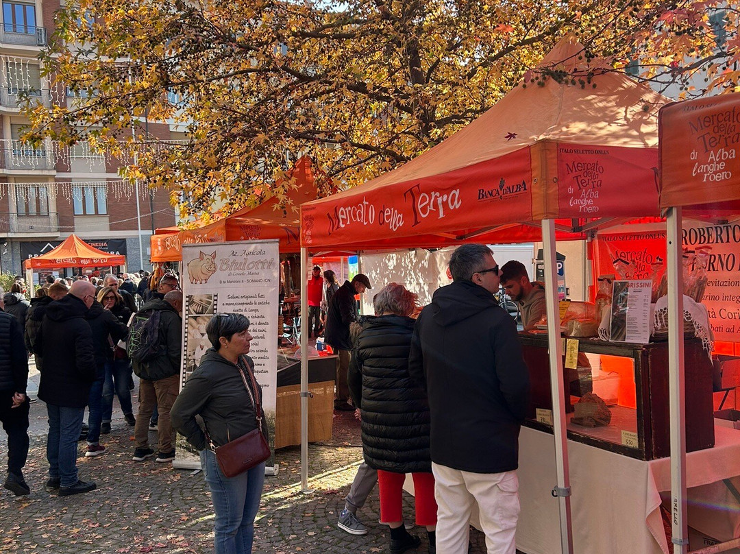 Mercato della Terra-阿尔巴必去景点