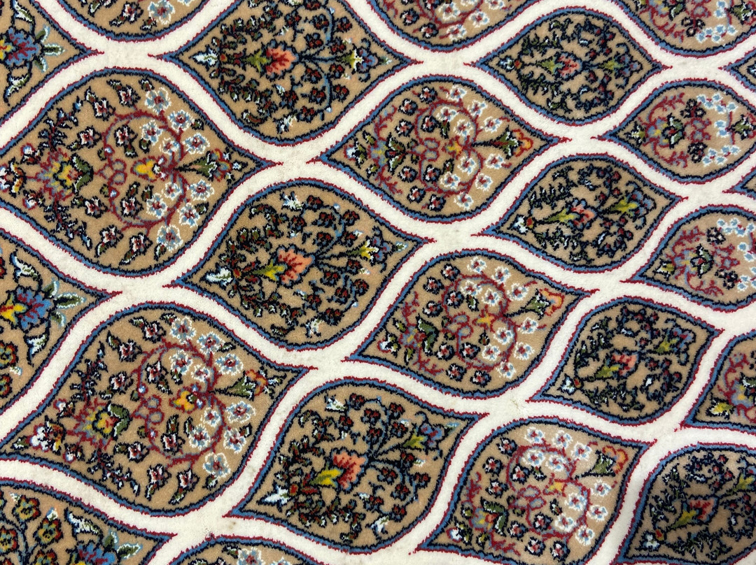 Curious India Travels-阿格拉必去景点