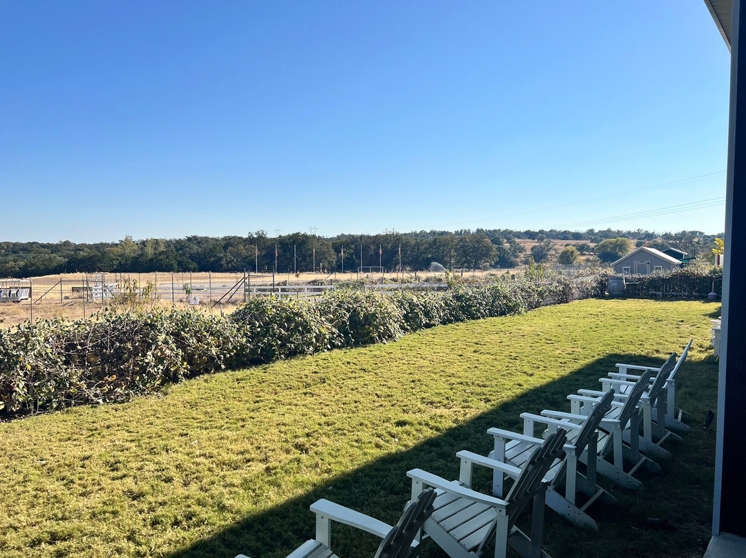 Grapetown Vineyard-弗雷德里克斯堡必去景点