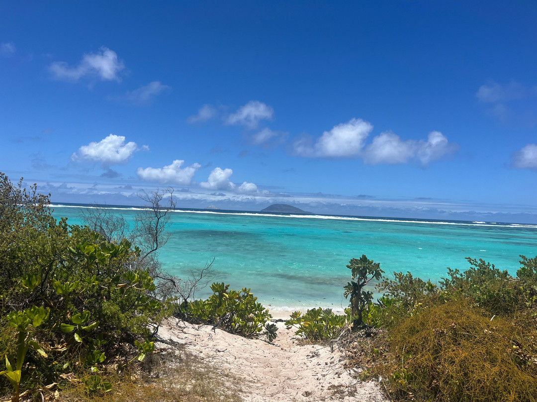 One Drop Excursions-格兰高伯必去景点