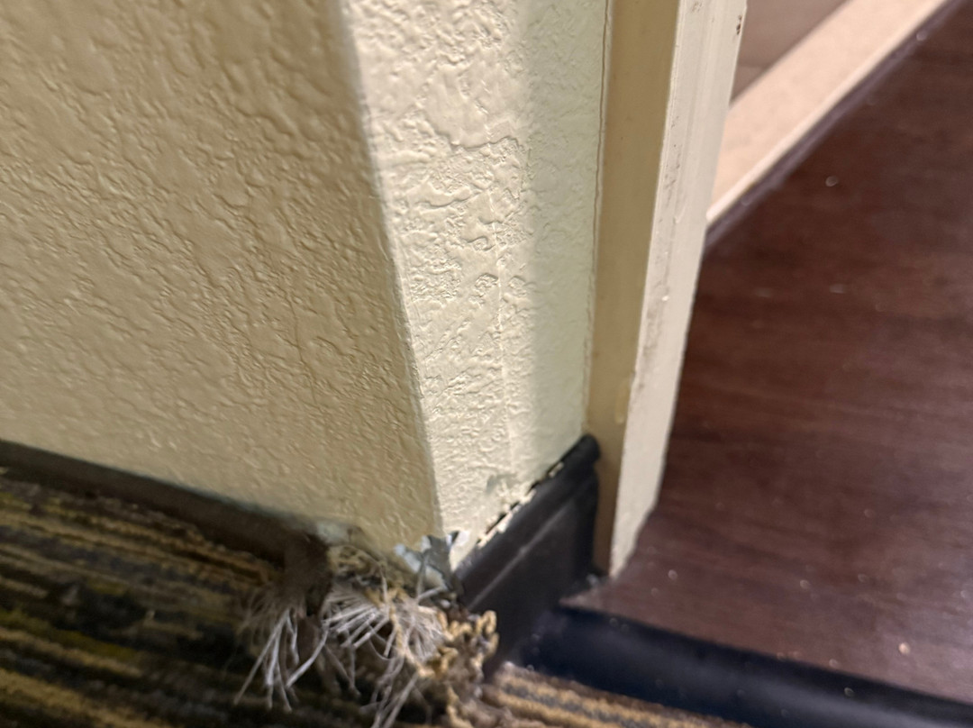 Candlewood Suites Lake Mary by IHG主图