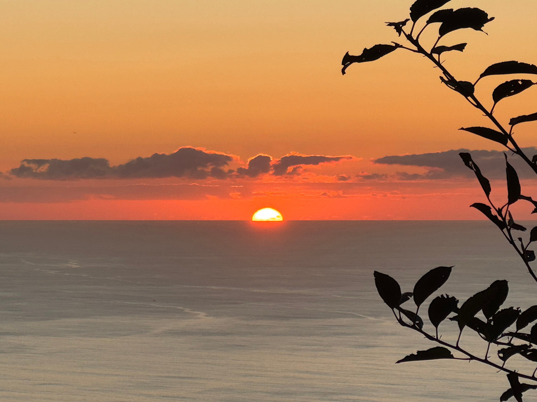 Yeotown Madeira Health Retreat主图