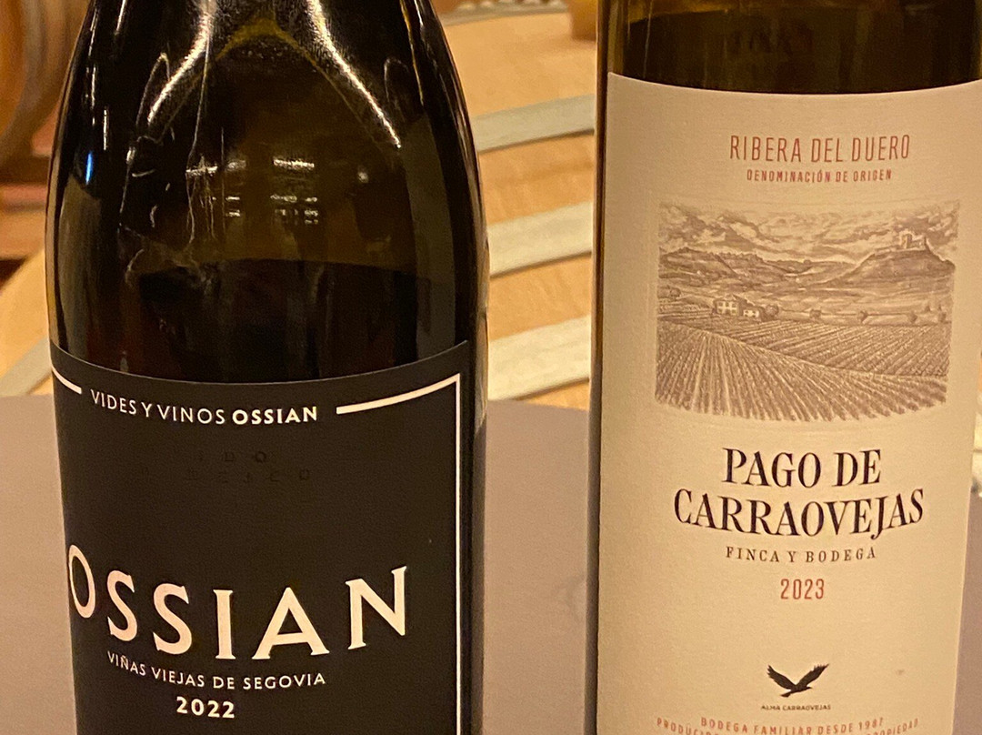 Wine Tours From Madrid-马德里必去景点