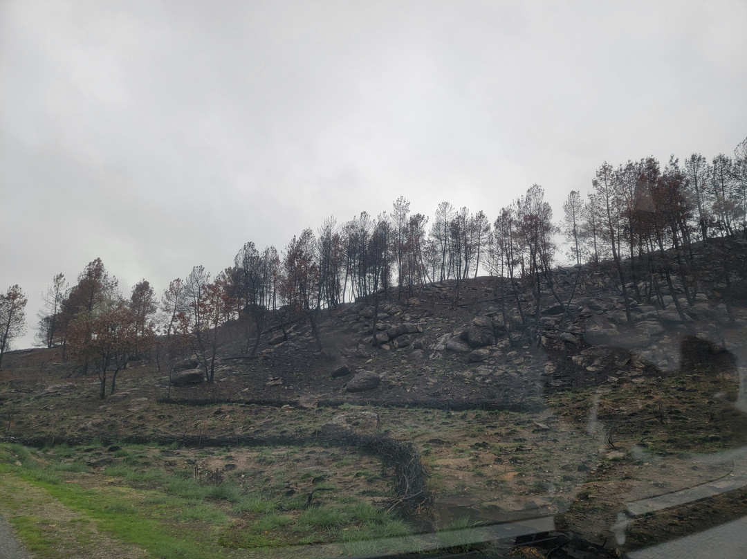 Igreja de Santa Maria-Trancoso必去景点