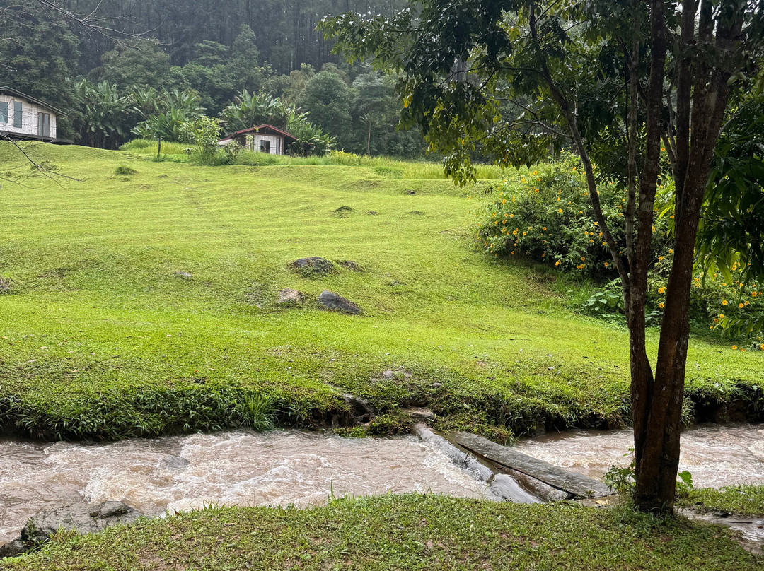 The Tuk Tuk Club-清迈必去景点