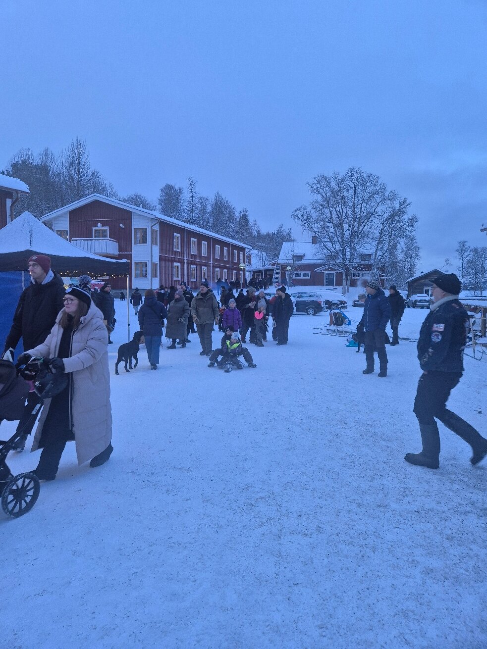 Saxnasgarden - South Lapland-官方
