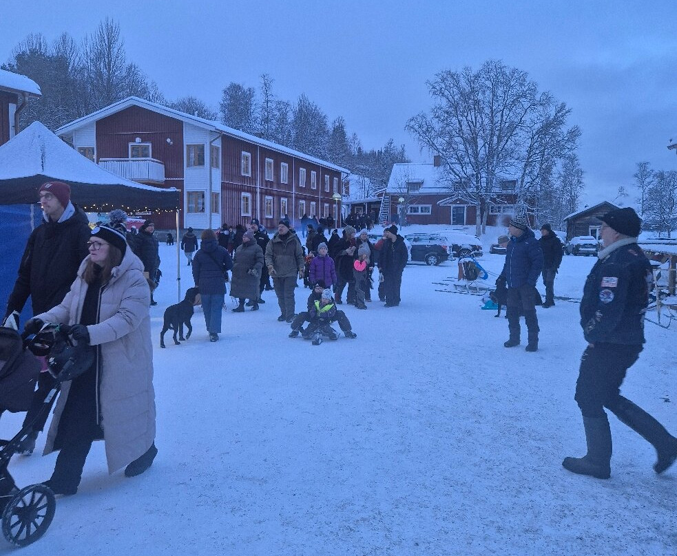 Saxnasgarden - South Lapland主图