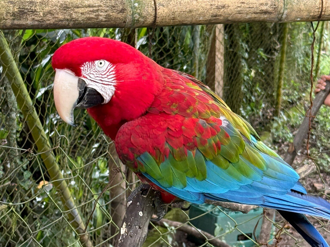 Jungla de Panama Wildlife Refuge-波魁特必去景点