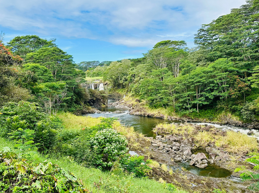 老夏威夷家庭式酒店主图