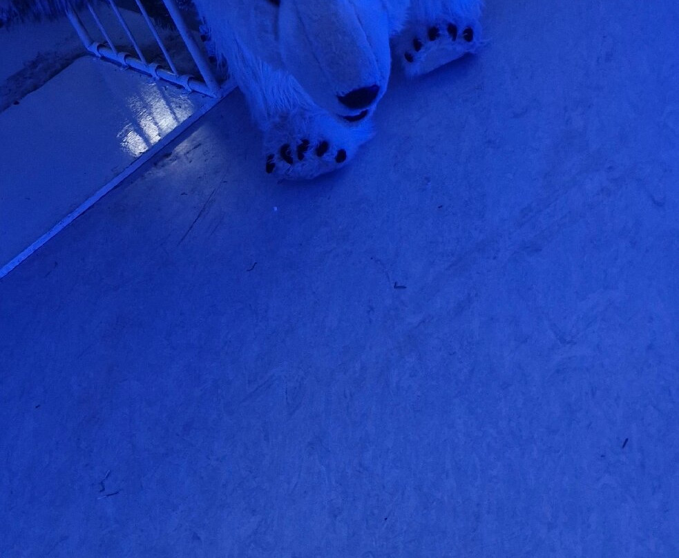 Dynamic Earth-爱丁堡必去景点