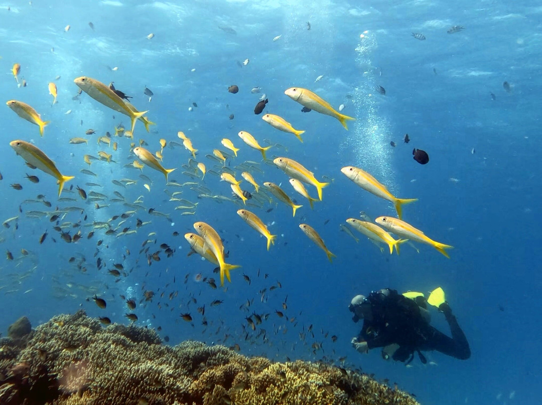 SunGo Tours-Hurghada 1必去景点