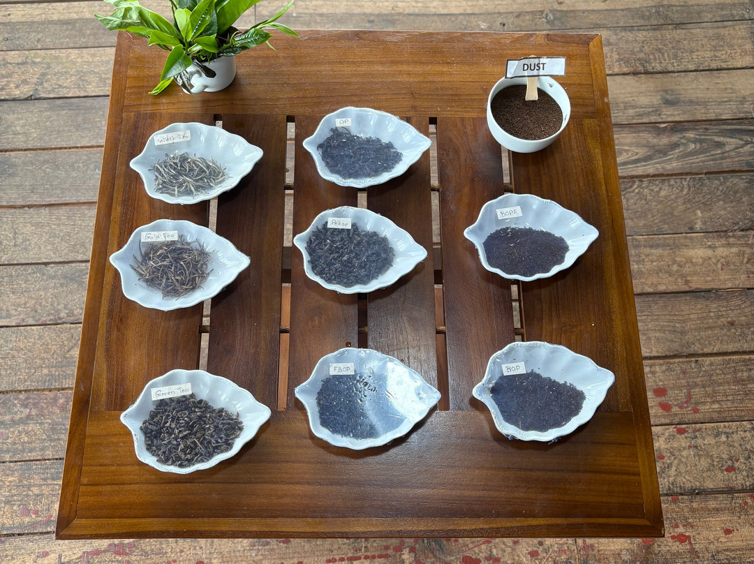 Pilimathalawa Tea Factory-Pilimathalawa必去景点