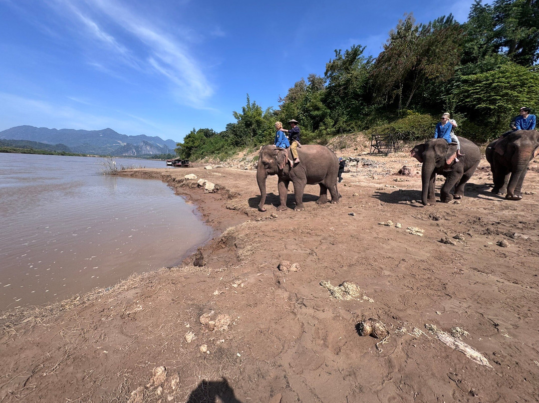 MandaLao Elephant Conservation-琅勃拉邦必去景点