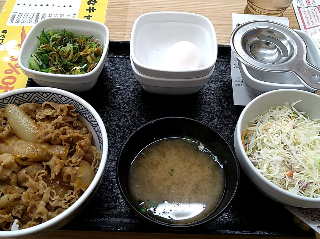 吉野家 大井松田店