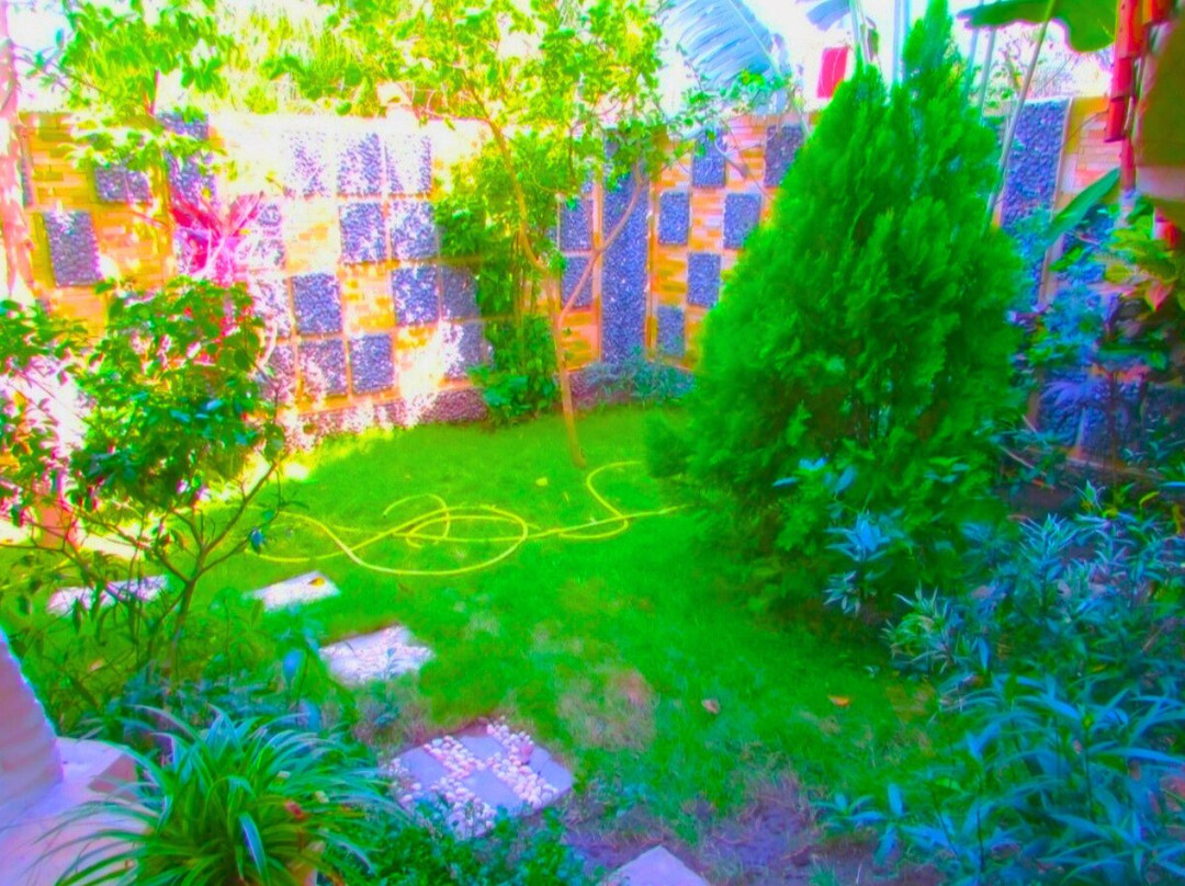 LOME & kpalime-洛美必去景点