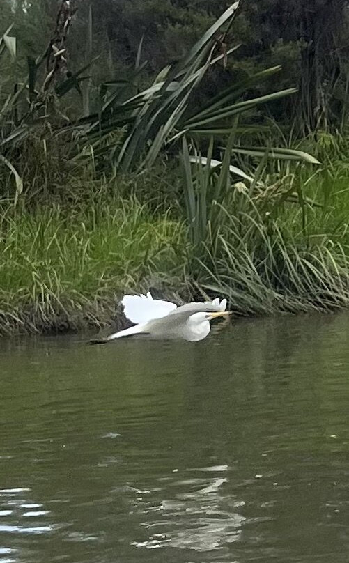Okarito Boat Tours-Okarito必去景点