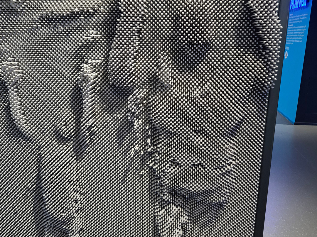 Museum Of Illusions Manchester-曼彻斯特必去景点