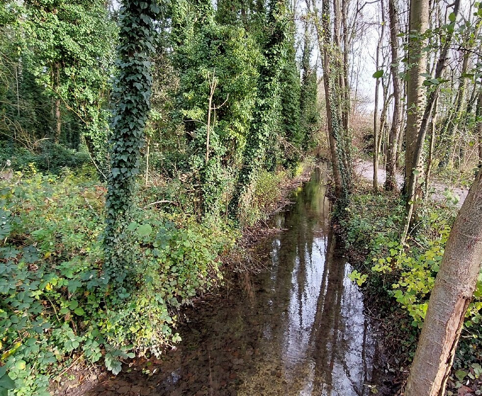 Voie Verte des Viennes-Sainte-Savine必去景点