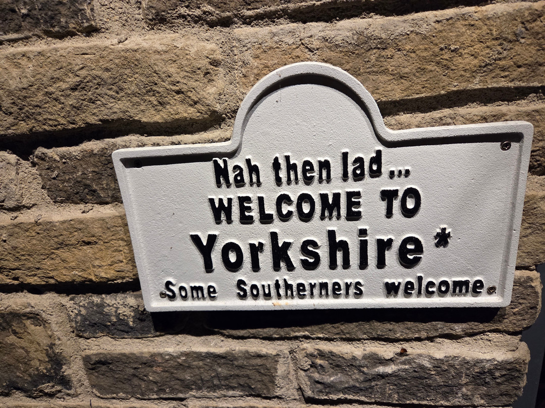 The Curious Fox主图