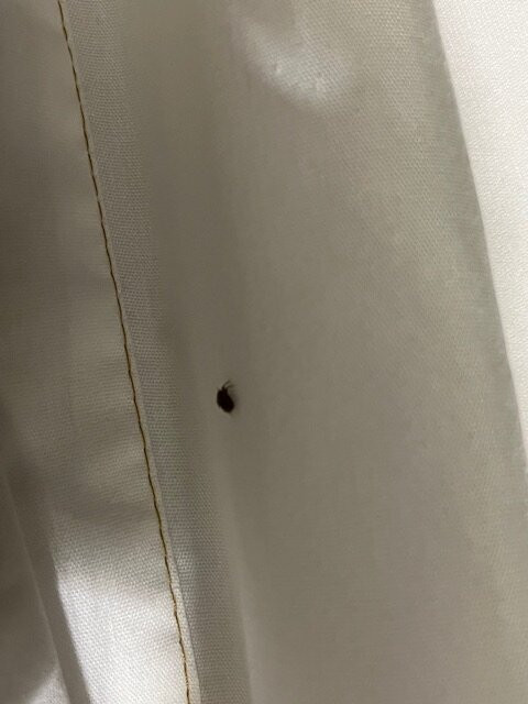 Best Western Plus Rama Inn主图