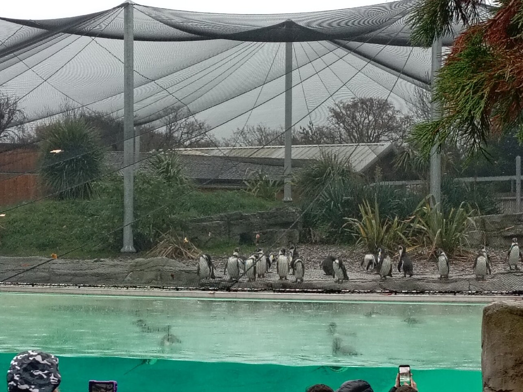 Voel Coaches-Dyserth必去景点