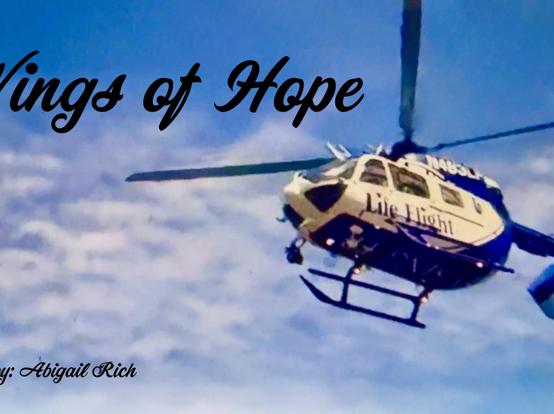 Kent Air Ambulance Memorial-查塔姆必去景点