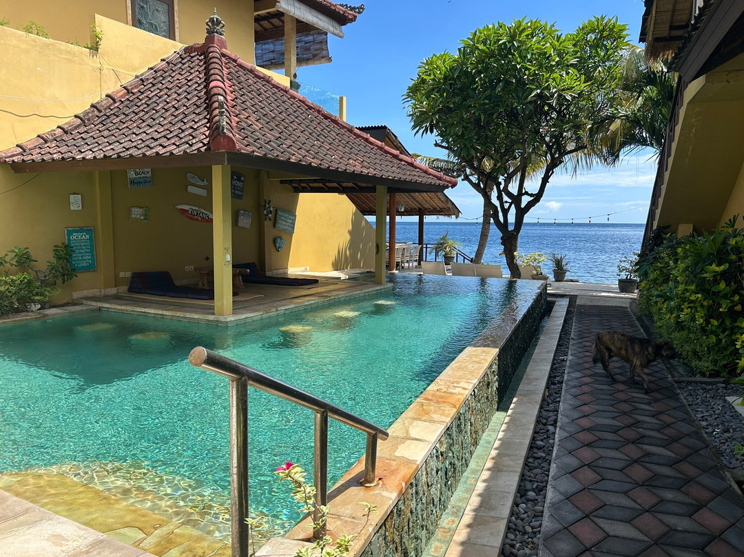 娜莉妮度假村主图